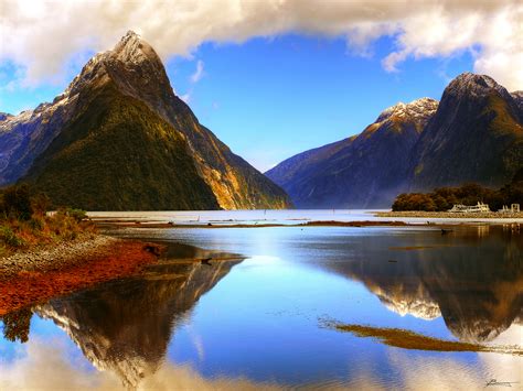 7 Best Things To Do In Milford Sound, New Zealand - Updated | Trip101