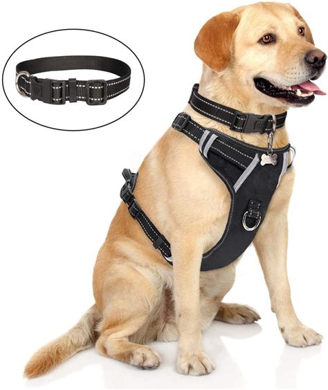 What Is The Best Harness For A Large Dog