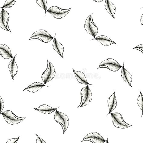 Black Ink Leaf Drawing Isolated On White Simple Line Art Drawing Of A