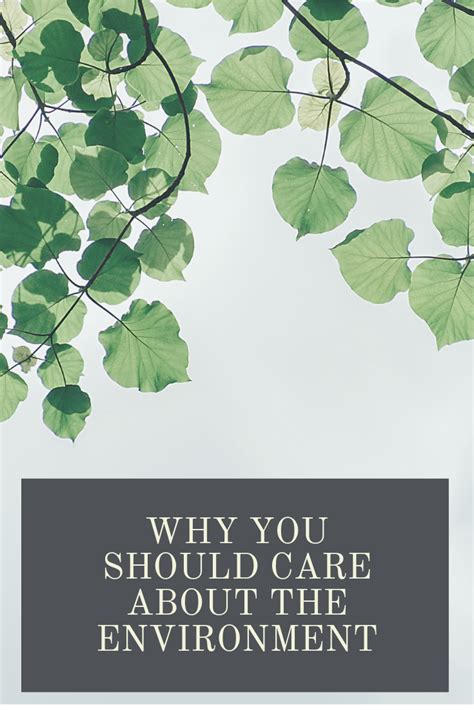 Why You Should Care About The Environment Environment Care Green Life