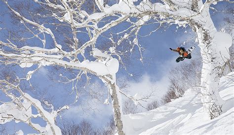 Snowboarding In Hokkaido