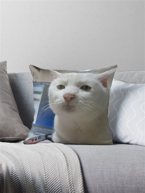 We have an extensive collection of amazing background images carefully chosen by our community. "Serious Cat Meme" Throw Pillow by FlashmanBiscuit | Redbubble