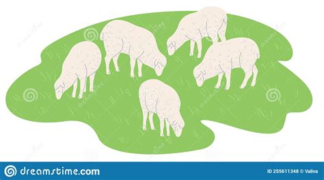 Sheep Grazing On Farmland Cartoon Poster 79520937
