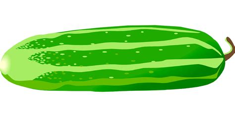 Cucumber Clip Art Images Illustrations Photos