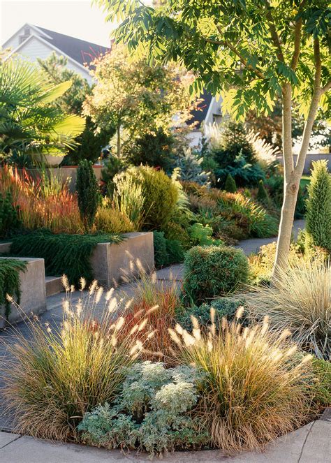 11 Drought Tolerant Landscaping Ideas That Save Water And Look Amazing