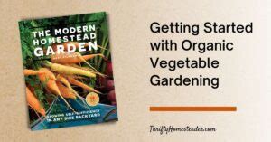 Getting Started With Organic Vegetable Gardening