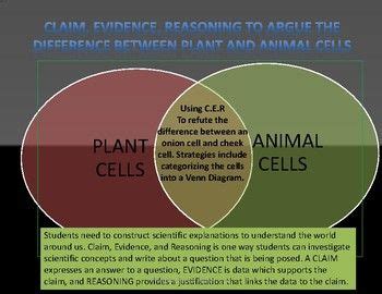 Bacteria and archaea are prokaryotic cells. Pin on Cell Biology