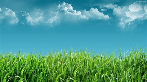 Grass Backgrounds Clouds Field Green Natural Wallpaper White Nature 10780