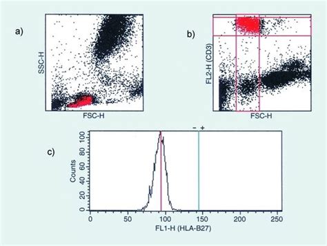 Schneller Nachweis Humaner Leukozyten Antigene