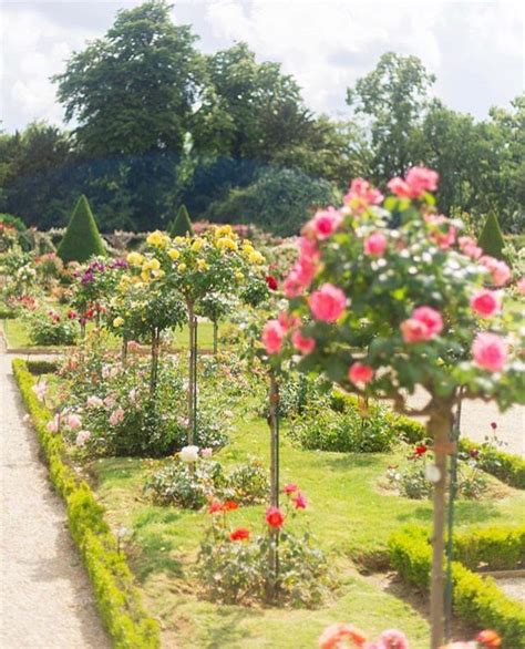 Roseraie De Bagatelle Paris Rose Garden Landscape Rose Trees Rose