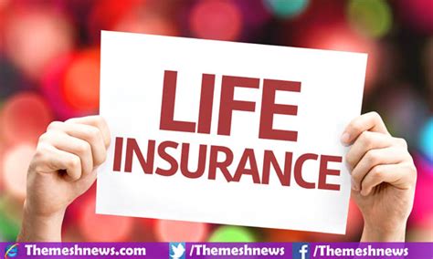 Affordable Life Insurance Quotes Online 19 | QuotesBae
