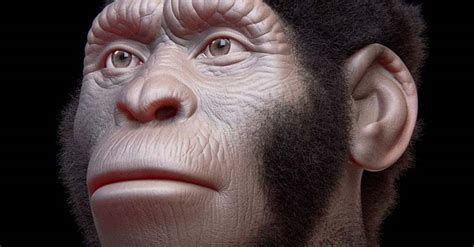 Scientists unearthed more than 1,500 bones belonging to 15 individuals. El Homo naledi convivió con Homo sapiens hace 300.000 años en sur de África La Crónica del ...