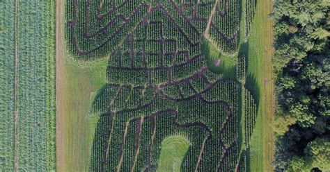 Unusual Corn Mazes Around The Usa