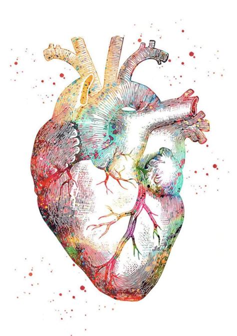 Anatomical Heart Diamond Painting Kit Paint With Diamonds Kit
