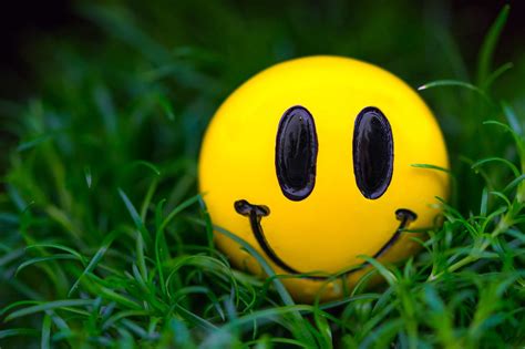 Yellow Emoji Ball Grass Macro Smile Smiley 1080P Wallpaper