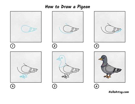 How To Draw A Pigeon Helloartsy