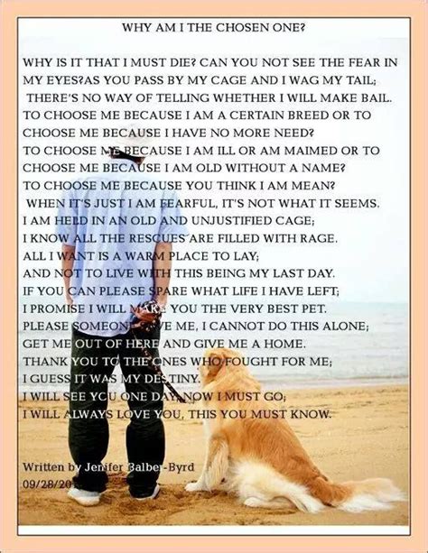 43 Rescue Dog Poems And Quotes Helencu