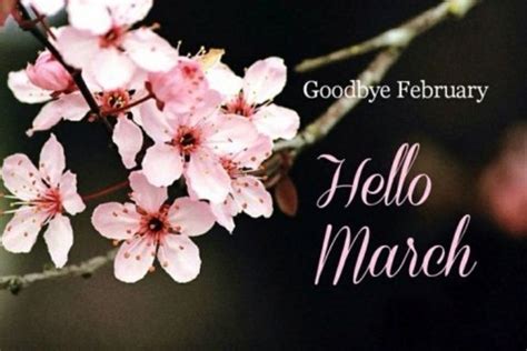 15 Goodbye February Hello March Quotes Hello March Hello March