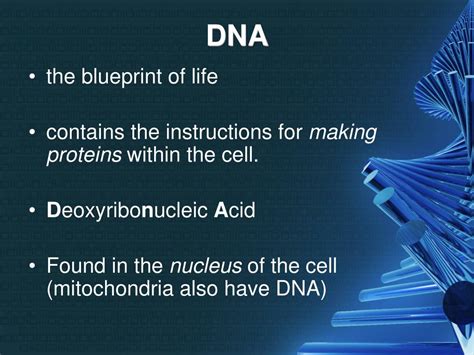 13 what type of biomolecule is dna? PPT - DNA and PROTEIN SYNTHESIS PowerPoint Presentation ...