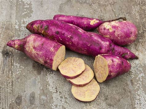 Sweet Potato Myanmar Purple DSC Heirloom Seeds Unique Vegetables Heirloom Seeds Catalog