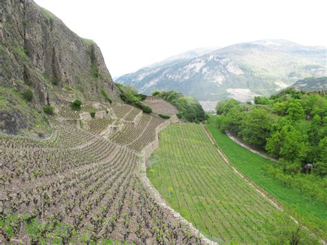 Using resolve runes and a tank item build, combine with the vanguard playstyle, this is a easy to play. Sion, Switzerland | Familypedia | FANDOM powered by Wikia