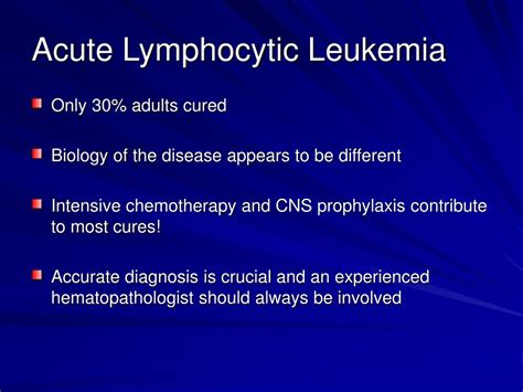 Ppt Adult Acute Lymphocytic Leukemia Powerpoint Presentation Free
