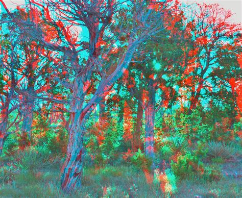 Abd2347 Anaglyph Photo3d Redcyan Glasses Needed To Vie Flickr