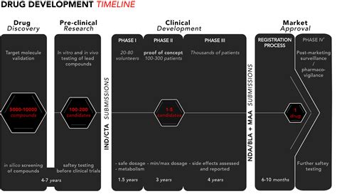 Drug Development The Four Phases Biostock