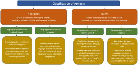 Aphasia Types Causes Symptoms Diagnosis Treatment