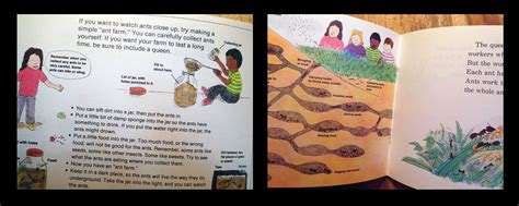 Ant Cities Scholastic Raibow Reading Series By Arthur Dorros Author