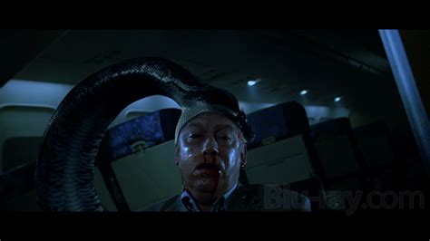 On august 18th summer really begins. Snakes on a Plane Blu-ray Release Date September 29, 2009