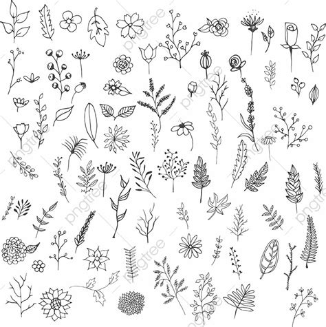 Search more hd transparent flower drawing image on kindpng. Hand Drawn Flowers Collection, Hand Drawn, Flowers, Flower ...