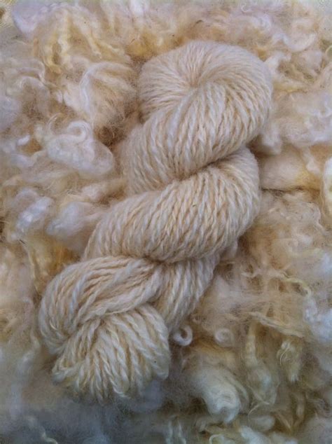 Processing Raw Fleece 2019 Wool Diy