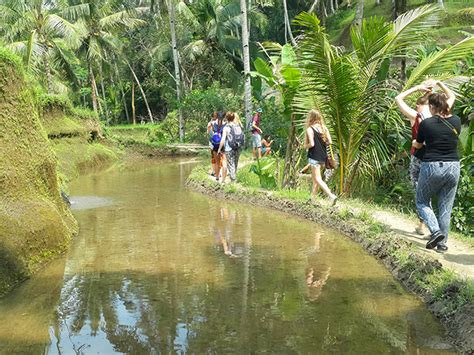 Women Who Travel Solo: Solo Travel in Bali With Ericka Mills