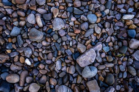 Background Texture Of Beach Rocks Pebbles Stock Image Image Of