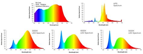 Full Spectrum Lighting Lightingenclosures