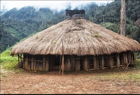 Rumah tradisional papua pada umumnya memiliki bentuk seperti jamur, dengan bagian atap seperti kuali atau wajan yang terbalik. Nama Rumah Adat Papua: Lengkap Gambar dan Penjelasannya ...