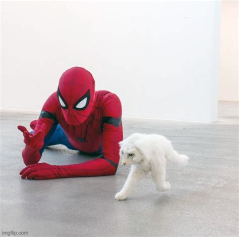 Spiderman Vs Half Cat Imgflip