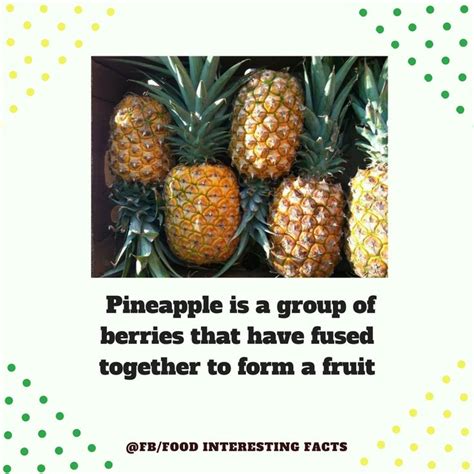 A Pineapple Is Classified As A Multiple Fruit It Forms From A Cluster Of Flowers Each Flower