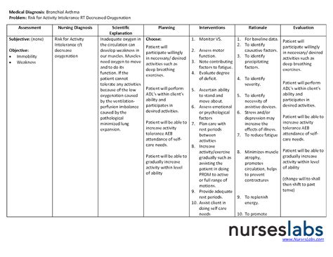 Nanda Nursing Examples Of Nursing Care Plan