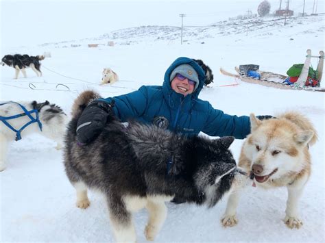 Arctic Dog Sledding Authentic Dog Sledding In Iqaluit Nunavut