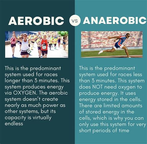 Aerobic Vs Anaerobic — Runverity