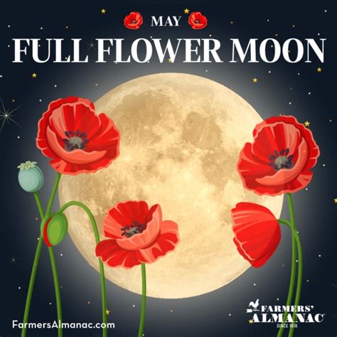 May S Full Flower Moon Farmers Almanac Plan Your Day Grow Your Life