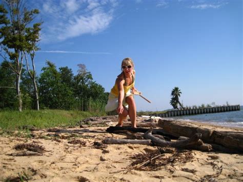 About gulf coast air conditioning, llc. Gulf Sampling: White Sand with Black Spots | Deep Sea News
