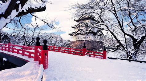 Japan Ice Landscapes Nature Winter Snow Trees