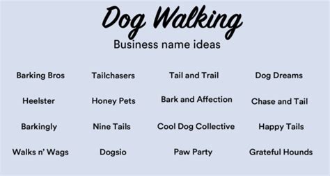 How To Start A Dog Walking Business The Dog Lovers Guide Looka