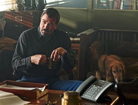 What Is The Breed Of Dog In Jesse Stone Series