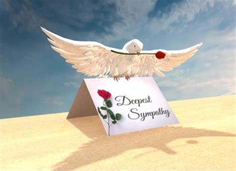 Deepest Sympathy Dove Free Sympathy And Condolences Ecards 123 Greetings