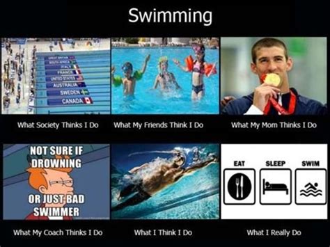 Swim Quotes Funny Meme Image 12 Quotesbae