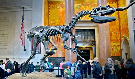 An Incredible New T Rex Exhibtion Is Coming To New Yorks Museum Of